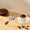 Silver#3, variant on Clearance! KITTEHIGM Coffee Measuring Spoon, 304 Stainless Steel Coffee Scoop with Wooden Handle, Vintage Coffee Measuring Scoop, Kitchen Utensil Perfect for Coffee, Tea, And More Liquidation Pallet