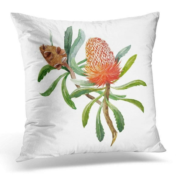 BSDHOME Colorful Native Watercolour of Australian Orange Flowers Banksias Greeting Pink Africa Pillow Case Pillow Cover 18x18 inch