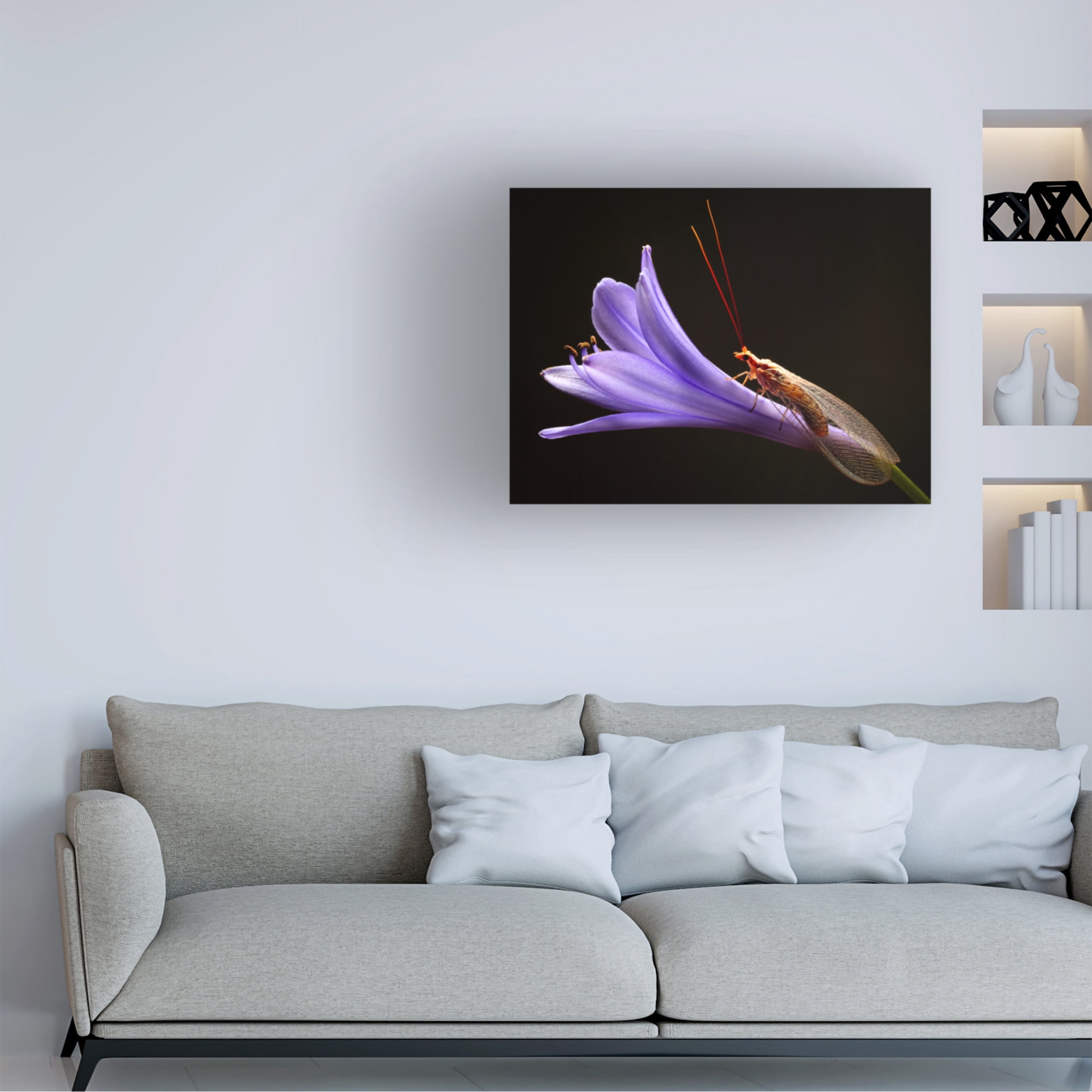 Canvas Wall Art - Jimmy Hoffman 'Lacewing' Wall Art for Living Room, Bedroom, or Office Décor by Trademark Fine Art - 32 x 24 Inches