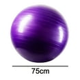 thumbnail image 2 of Exercise Ball, Standard Fitness Ball for Posture, Balance, Yoga, Pilates, Core, & Rehab, 2 of 5