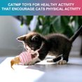 thumbnail image 4 of Paquete de piezas Lindo gato Juguete Pluma Sisal Bola Gatito Juguete interactivo Juguete interior MFZFUKR BST3001892-2, 4 of 5