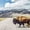 American Bison Crossing, variant on Elephant Stock Bison Mountain Landscape Wall Art - Horizontal Multi Panel Canvas - Living Room Wall Decor - Animal Multi Panel - Brown And Blue Decor - 33" x 20"