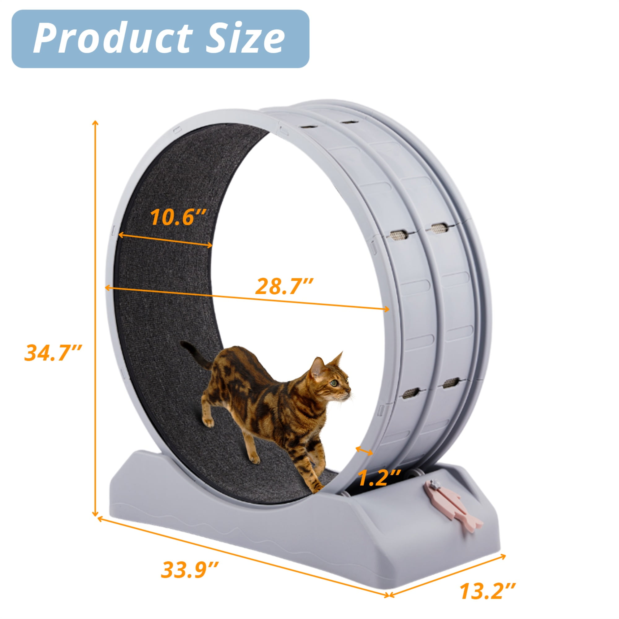 Kadyn 31" Cat Wheel Exerciser, Cat Wheels for Indoor Cats Fitness and Health, Cat Treadmill Wheel Suitable for Most Cats, Gray