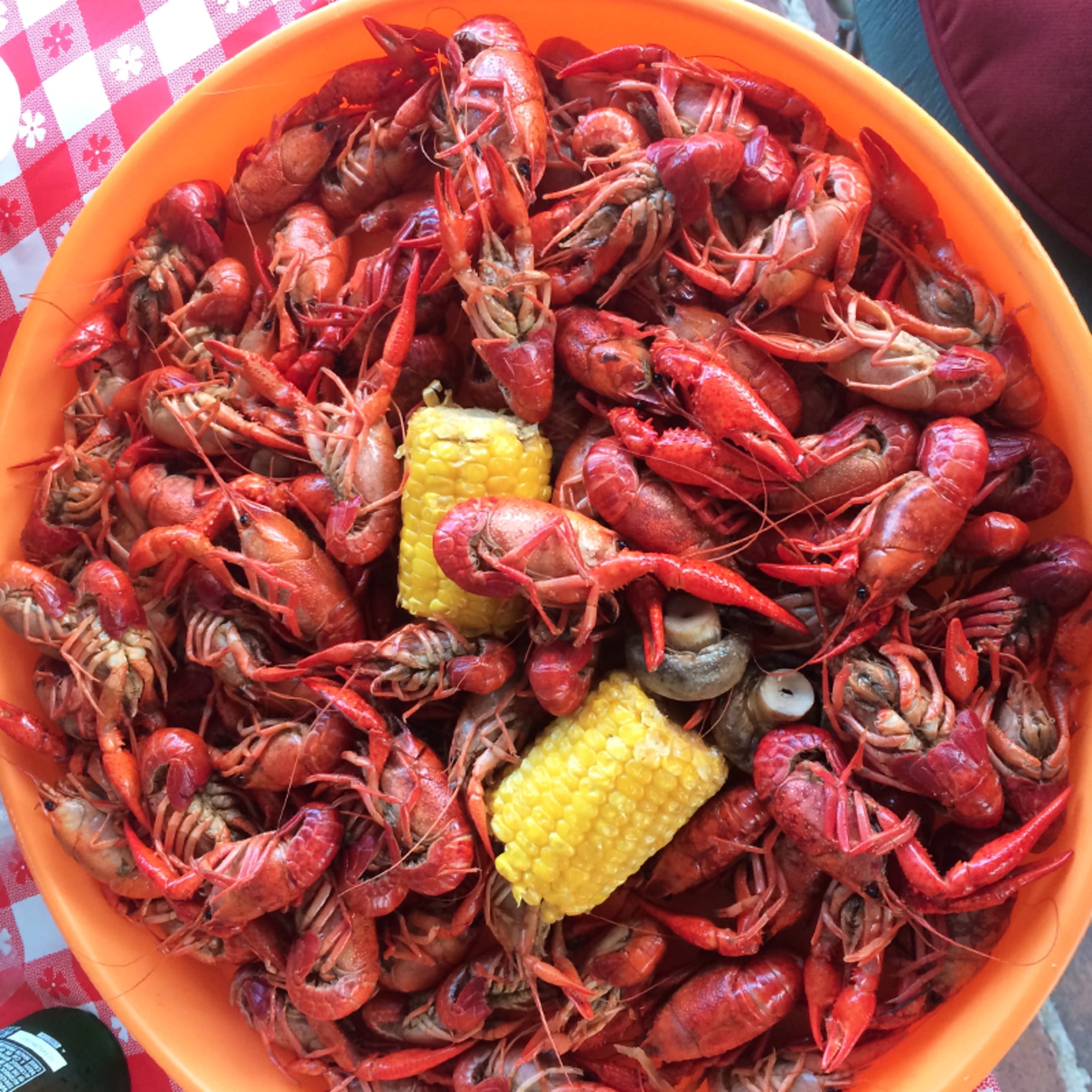Zatarain's Crawfish, Shrimp & Crab Boil, 3.0 oz Box
