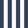 Sapphire Blue Cabana Stripe
