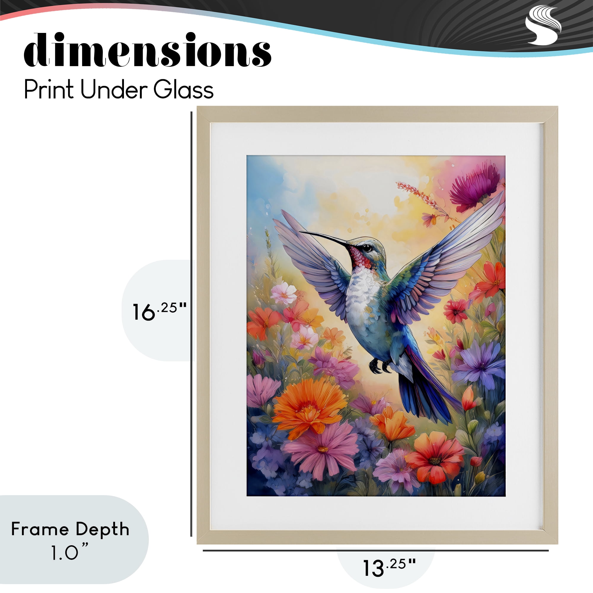 Stupell Industries Colorful Hummingbird in Bloom Birch Framed Print Under Glass, design by Creative Studio