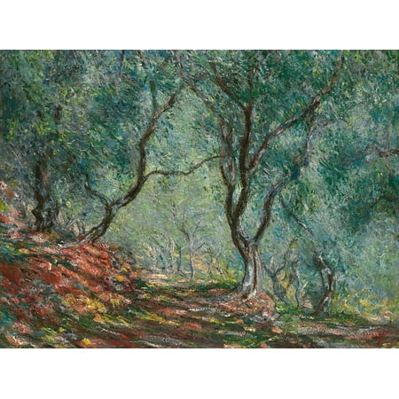 Art Oil Painting Impressionist Landscape - Olive Trees in the Moreno Garden, 1884 Impressionist Botanical Landscape Painting Print Wall Art By Claude Monet
