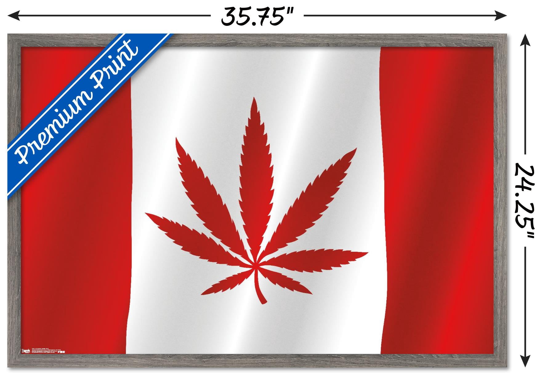 Canadian Hemp Flag Wall Poster, 22.375" x 34", Framed