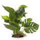 thumbnail image 1 of CNZ Acuario Pecera Verde Realista Planta de Plástico Subacuático Decoración de Hierba de Agua Acuática (Grande 13 Pulgadas), 1 of 1