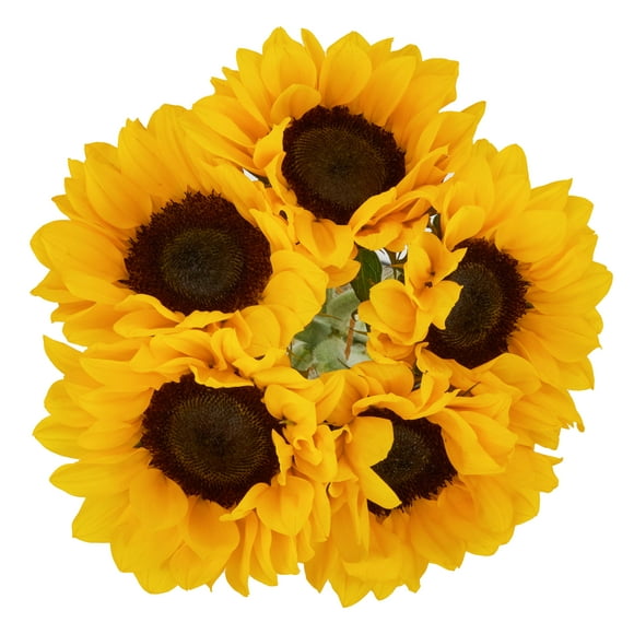 Fresh Cut Sunflowers