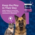 thumbnail image 5 of NaturVet Moderate Joint Care Hip & Joint Supplement for Dogs and Cats, Bacon and Chicken Flavor, 120 Count, 5 of 9