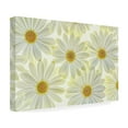 thumbnail image 4 of Trademark Fine Art 'Daisy Flowers' Canvas Art by Cora Niele, 4 of 4