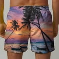 thumbnail image 6 of Summer Savings! Stamzod Mens Swim Shorts Quick Dry Mens Bathing Suit Fashion Palm Tree Graphic Mens Shorts Plus Size Beach Shorts, 6 of 6