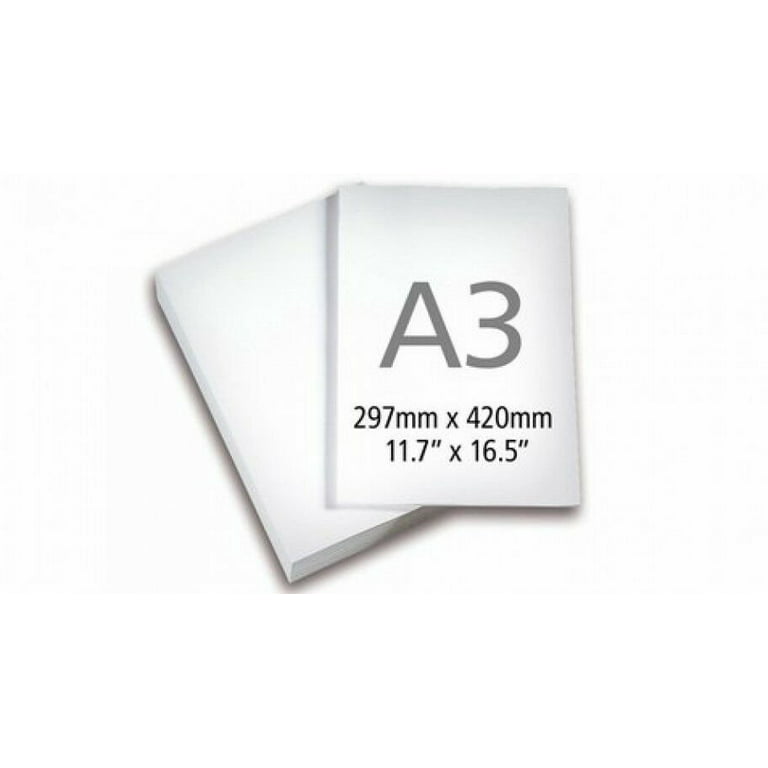 A3 Size White Paper, For Office, Size: 297 X 420mm at Rs 200/ream in  Ahmedabad