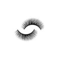 thumbnail image 5 of NATURAL LOOK 6D FALSE FAUX MINK EYELASHES 3D55 ( 2 Pair ), 5 of 7