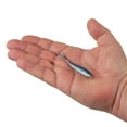 thumbnail image 4 of Berkley Gulp! Minnow Lifelike Scented Soft Bait, Blue Shiner, 3 Inch, 4 of 9
