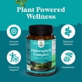 thumbnail image 3 of Natures Craft Cleanse & Detox Chlorophyll Capsules, Internat Cleanser & Deodorizer, 60 Count, 3 of 9