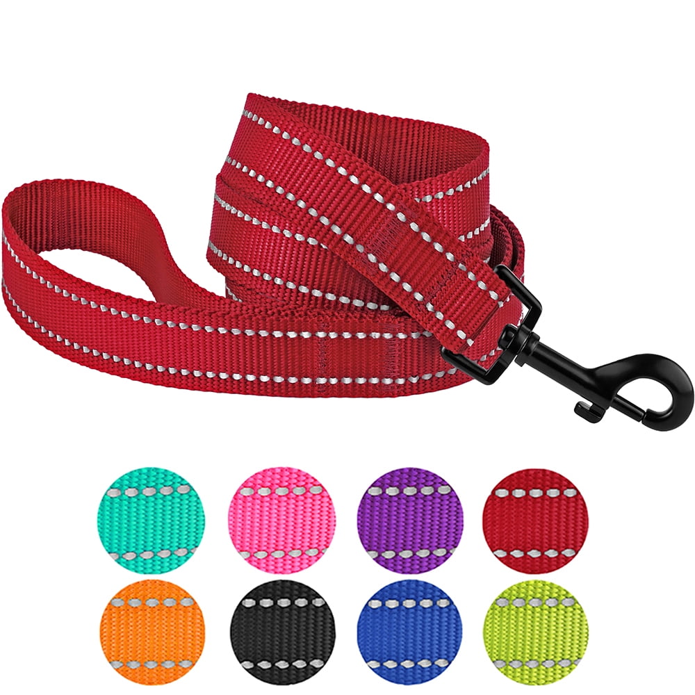 walmart leashes