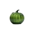 thumbnail image 2 of Hovilon Glass Pumpkin Vase for Flowers, Decorative Hydroponic Pumpkin Flower Vase in Clear Green Orange, Thick Glass Centerpiece for Fall Thanksgiving Halloween, Compact Tabletop Home Decor Gift, 2 of 6
