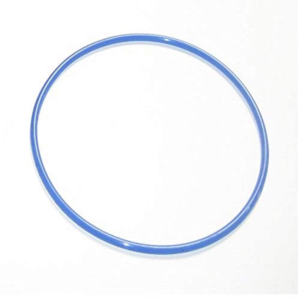 87503 and 87506 Solstice by International Leisure Products Chlorine Feeder Lid Gasket/O-Ring Fits 87502 