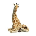 thumbnail image 2 of Design Toscano EU1015 Zari The Resting Giraffe African Decor Garden Statue, 20 Inch, Full Color, 2 of 2