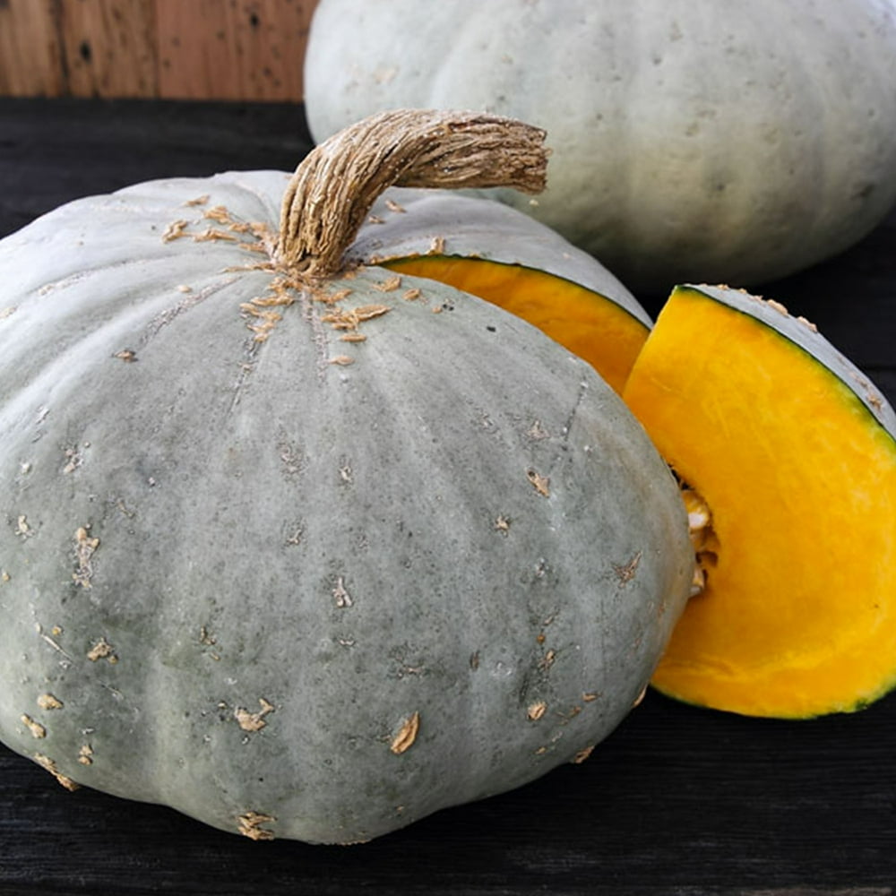 Sweet Meat Squash 4 g 13 Seeds Heirloom, Open Pollinated, NonGMO, Farm & Vegetable