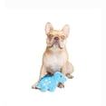 thumbnail image 3 of One Paw, Stegosaurus Dinosaurs Plush Dog Toy, 3 of 3