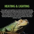 thumbnail image 5 of Fluker's Reptile Incandescent Daylight Bulb for Pet Habitat, Blue, 25-Watts, 5 of 5