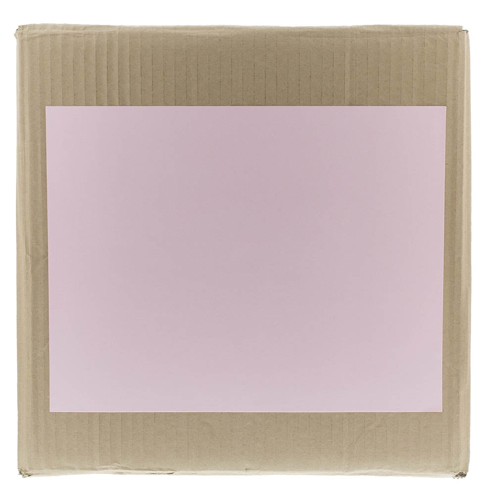 JAM Paper Full Page Labels, 8 1/2 x 11, Baby Pink, 10 per Pack