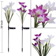 thumbnail image 3 of AMERTEERCA Garden Solar Lights Outdoor  6-pack Solite Figurine Stake Light  Multi-Color Changing Decorative Landscape Lighting LED Hummingbird Butterfly Dragonfly for Patio Lawn Yard  Aut, 3 of 8
