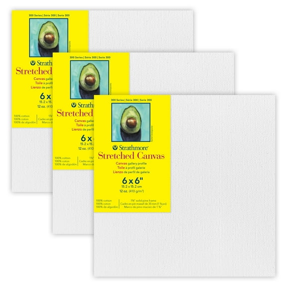 Strathmore 300 Series Gallery Stretched Canvas, 6x6 inch, 3 Count