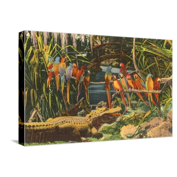 Art.com Macaws and Alligator, Florida Stretched Canvas Print Wall Art, 24" x 16"