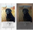 thumbnail image 2 of Caroline's Treasures 7097CNL Curly Coated Retriever Ceramic Night Light, 6x4x3", multicolor, 2 of 2