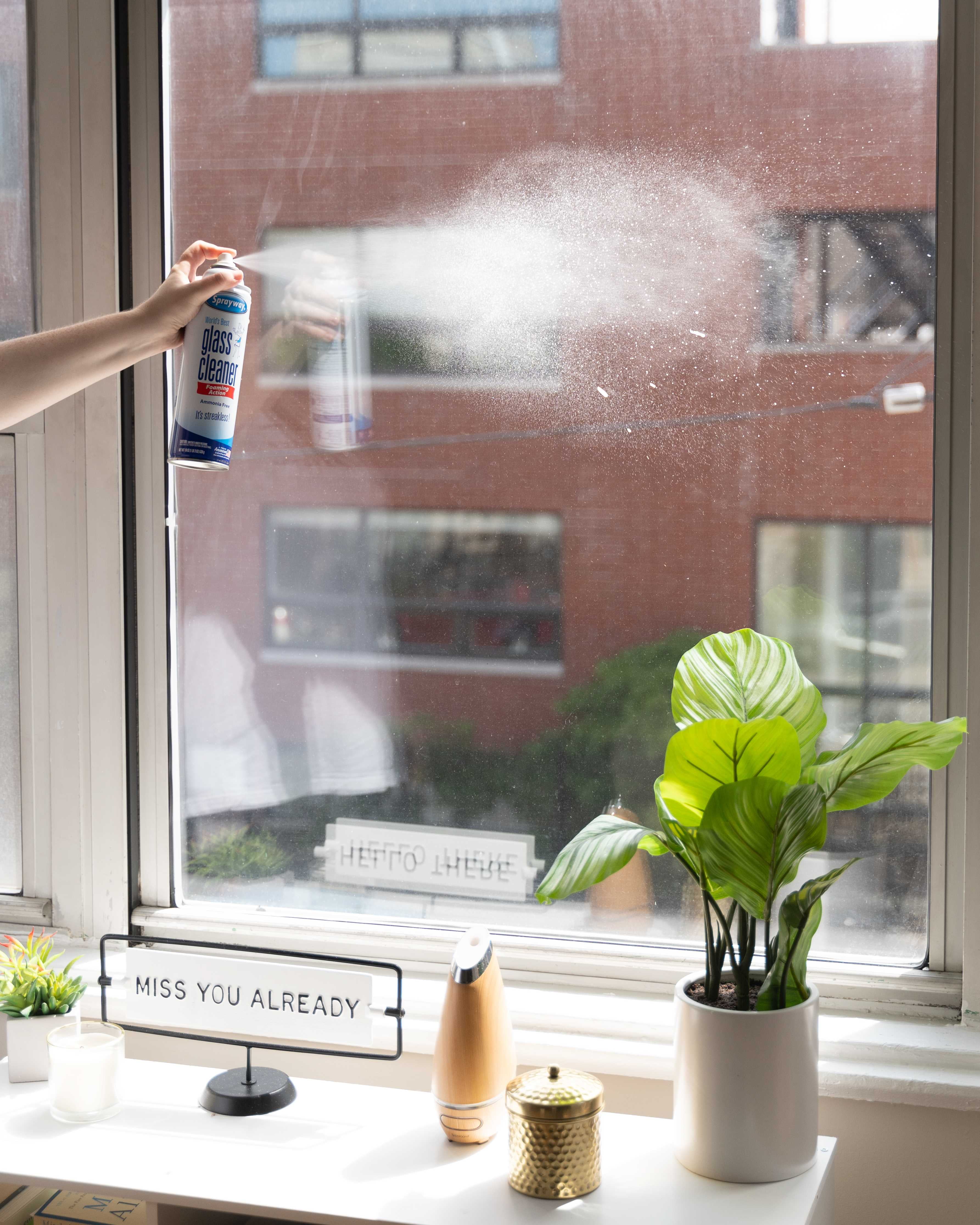 Sprayway Glass Cleaner Aerosol Spray, 19 Oz, Pack of 2 & Rain-X 630023  Shower Door Water Repellent, 16 fl. oz.
