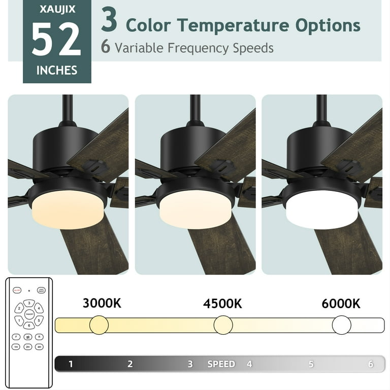 ❁¨̮ River of Goods Rory 42 in. 2-Light Indoor Black Ceiling Fan
