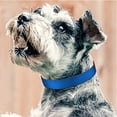 thumbnail image 3 of Bracelet Collier pour Chien, Sangle de Collier pour Chien Classique Réglable pour Toutes les Variétés de Petits Chiens de Taille Moyenne, 3 of 5