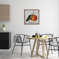 thumbnail image 4 of Stupell Industries French Country Vintage Tangerine Fruit Brown Floating Frame Canvas Art, 25 x 25, by Regina Moore, 4 of 8