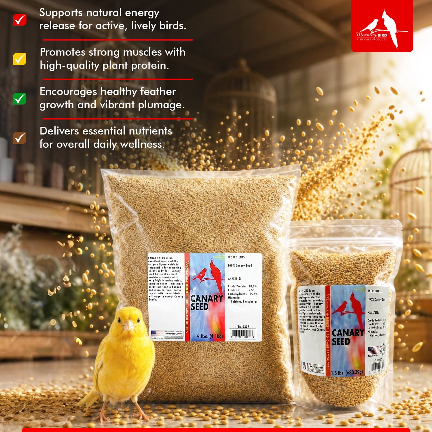 Morning Bird Canary Seed 9 lb – Bird Food for Canaries & Finches – Natural Seed Blend for Healthy Feathers & Daily Nutrition