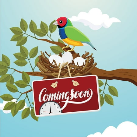 UPC: 0766907011982 | ViewSonic ViewBoard VPC25-W53-P1 Digital Signage Appliance