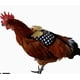thumbnail image 1 of Arnés de pollo y correa atuendo de gallina de pollo, 1 of 5