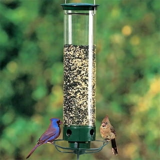 Songbird All Weather Feeder  Weather-Proof Bird Feeders - The Birdhouse  Chick