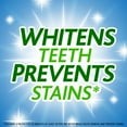 thumbnail image 6 of Trident White Sugar Free Gum Variety Pack, Peppermint & Spearmint Flavors, 12 Packs of 16 Pieces 192 Total Pieces, 6 of 9