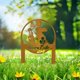 thumbnail image 4 of iron bunny yard art outdoor bunny decorations garden decorations, 4 of 5