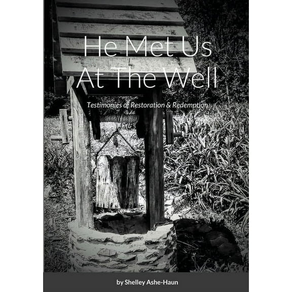 He Met Us At The Well: A Collection of Testimonies (Paperback)
