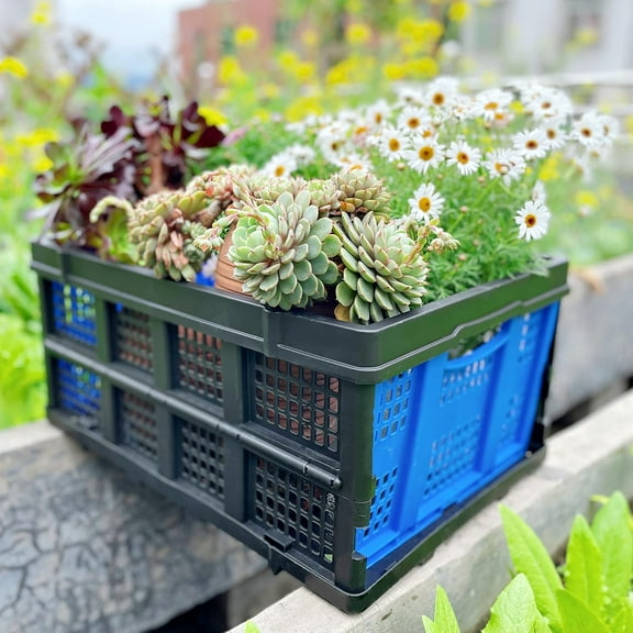 49L Plastic Storage Basket, Foldable Storage Bin Organizer, Stackable Folding Crate for Farm Home Office(1 Pack)