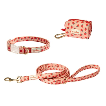 Oodles Sweet Strawberry Dog Walking 3 Piece Set Small