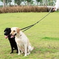 thumbnail image 2 of YeewayVeh Double Dog Leash for 2 Dogs, 360° Tangle-Free Swivel with Shock Absorbing Bungee, Adjustable Dual Dog Walking Leash (25-150 lbs), 2 of 7