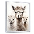 thumbnail image 2 of Designart "Alpaca Wool Grace Grey Comfort II" Animals Framed Wall Art - Traditional Grey Alpaca Entryway Framed Wall Art Print, 2 of 6