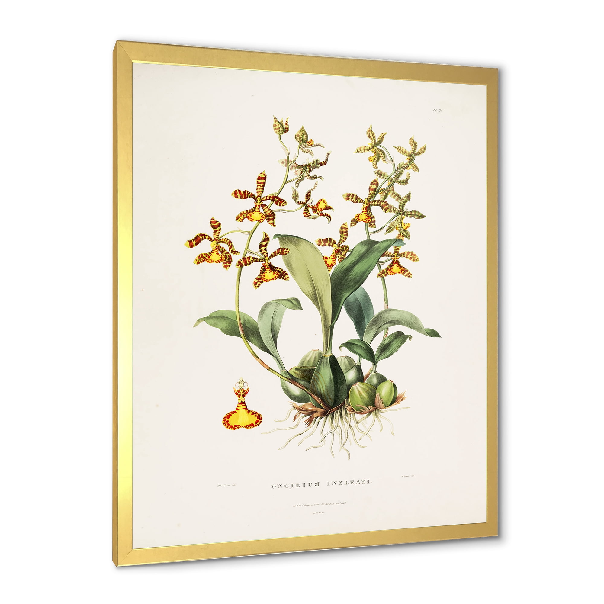 Designart 'Ancient Flower I' Traditional Framed Art Print