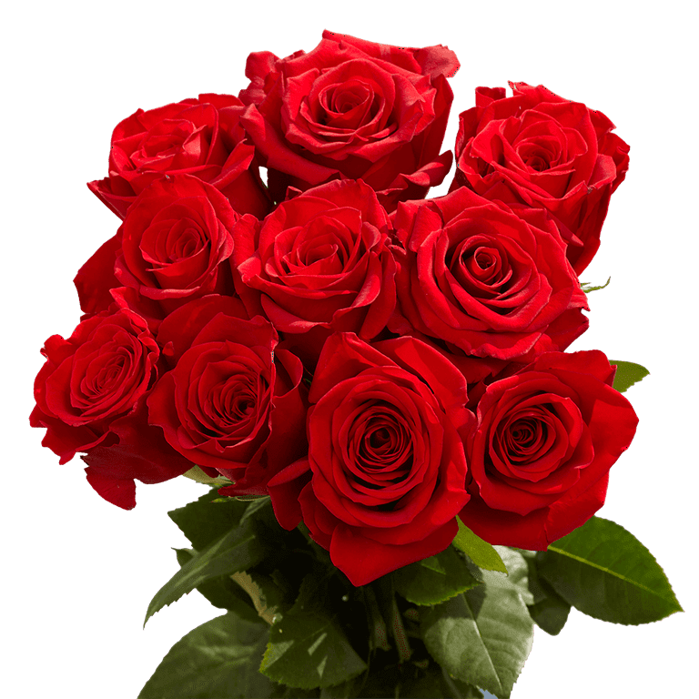 100 Assorted Red Roses- Beautiful Fresh Cut Flowers- Express Delivery